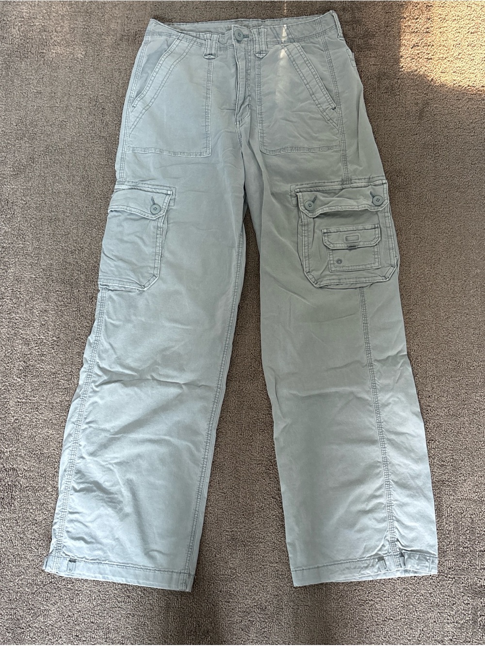 American Eagle Outfitters Light Sage Green Cargo Pants